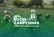 Voces Campesinas